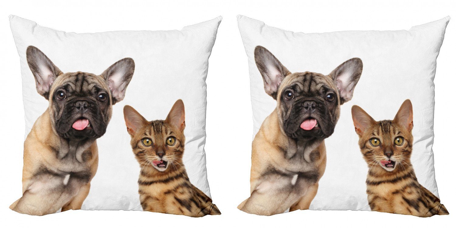 Doppelseitiger Abakuhaus Kissenbezüge Bulldogge und Accent Hund Starren Katze (2 Modern Stück), Digitaldruck, Schockiert