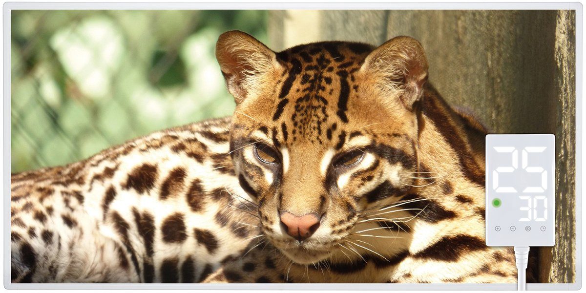 Heidenfeld Infrarotheizung HF-HP105 Leopard Elektroheizung mit Thermostat, Fenster-Auf-Erkennung, Infrarotheizung, Infrarot Wand Bild, Heizkörper, Infrarot Heizung