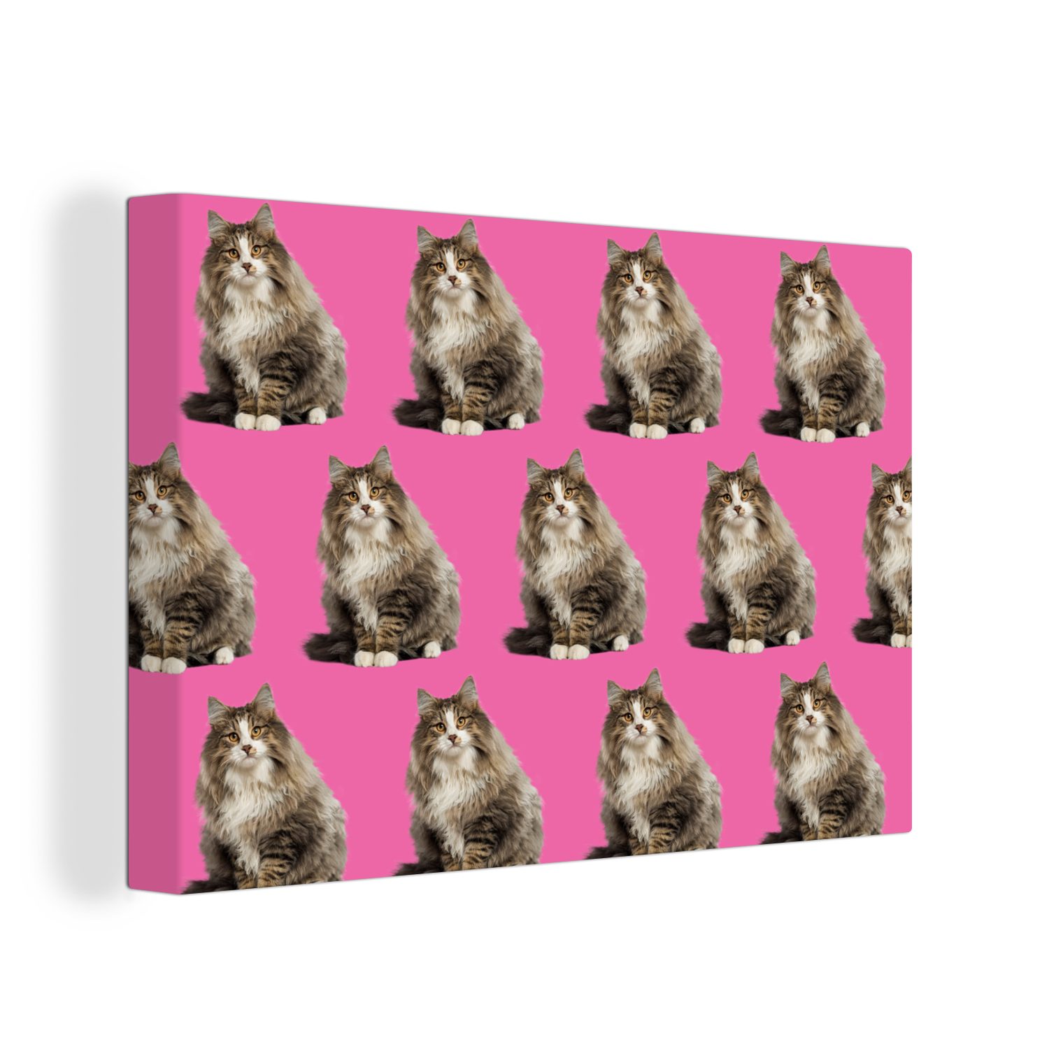 OneMillionCanvasses® Leinwandbild Tier - Muster - Rosa, (1 St), Wandbild Leinwandbilder, Aufhängefertig, Wanddeko, 30x20 cm