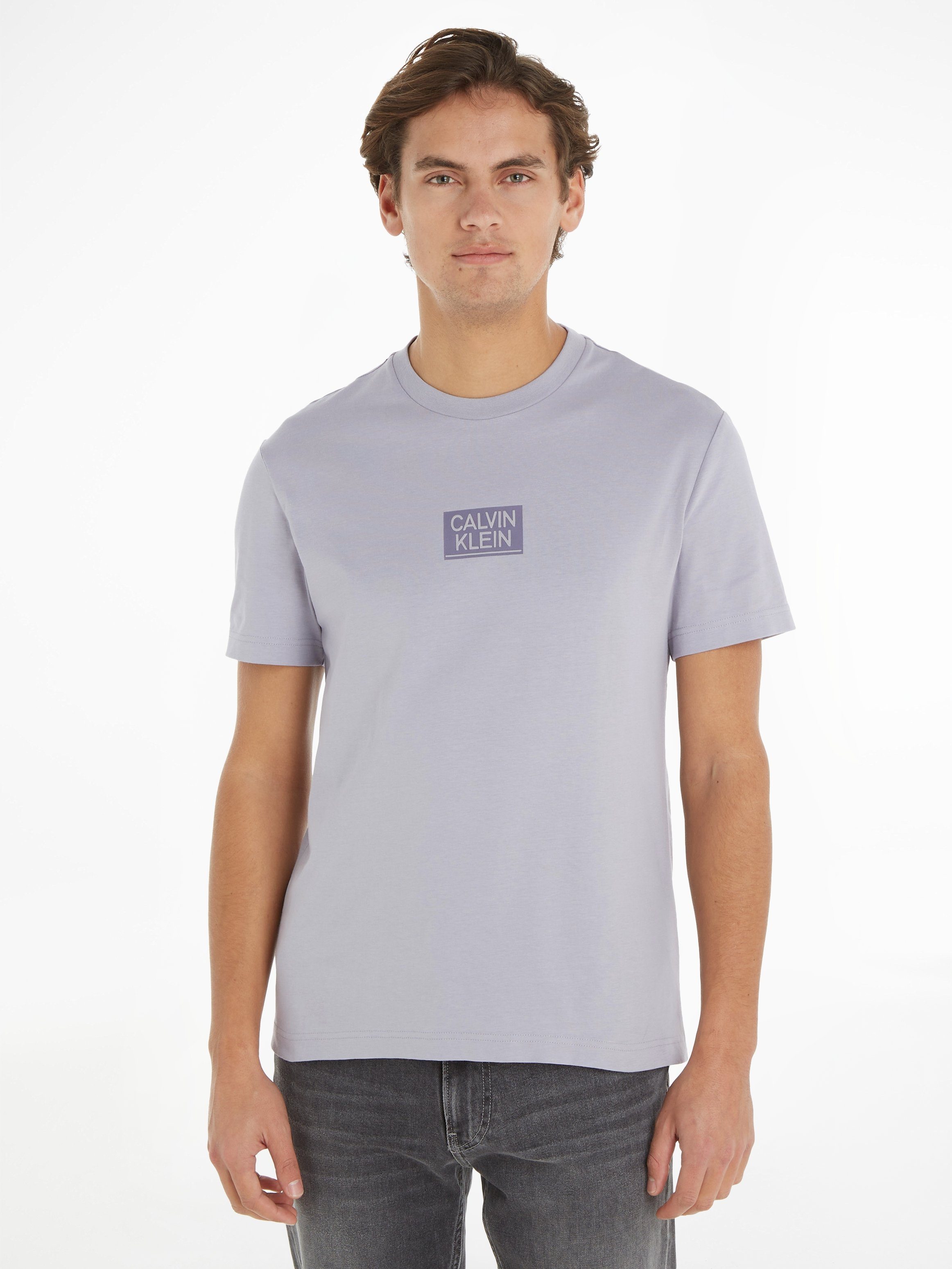 Calvin Klein STENCIL T-SHIRT Dapple LOGO T-Shirt Gray GLOSS