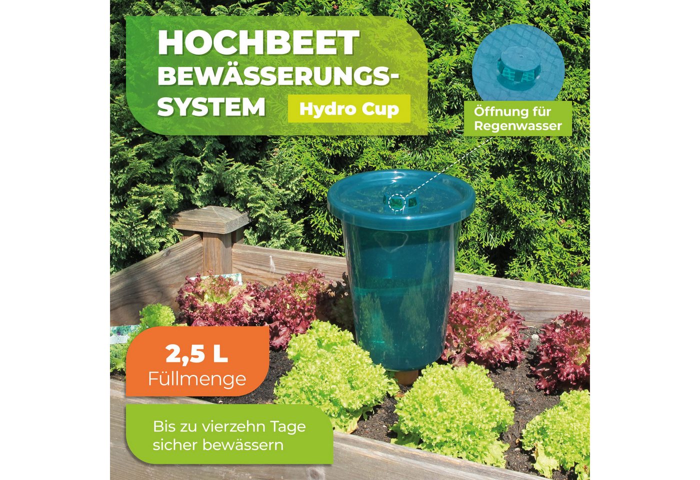 Thumbnail - Bio Green Bewässerungssystem HYDRO CUP für Hochbeet - Tonkegel und Becheraufsatz, (2-tlg)