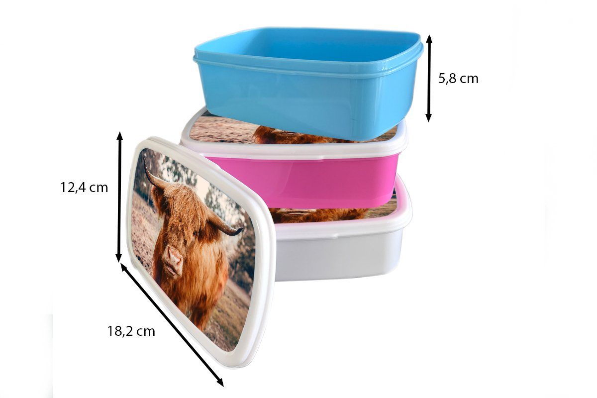 MuchoWow Lunchbox Kuh Hochländer Snackbox, (2-tlg), Schottischer Kinder, Kunststoff, Erwachsene, - rosa für Brotbox Landschaft, Mädchen, - Hörner Braun - Kunststoff Brotdose 