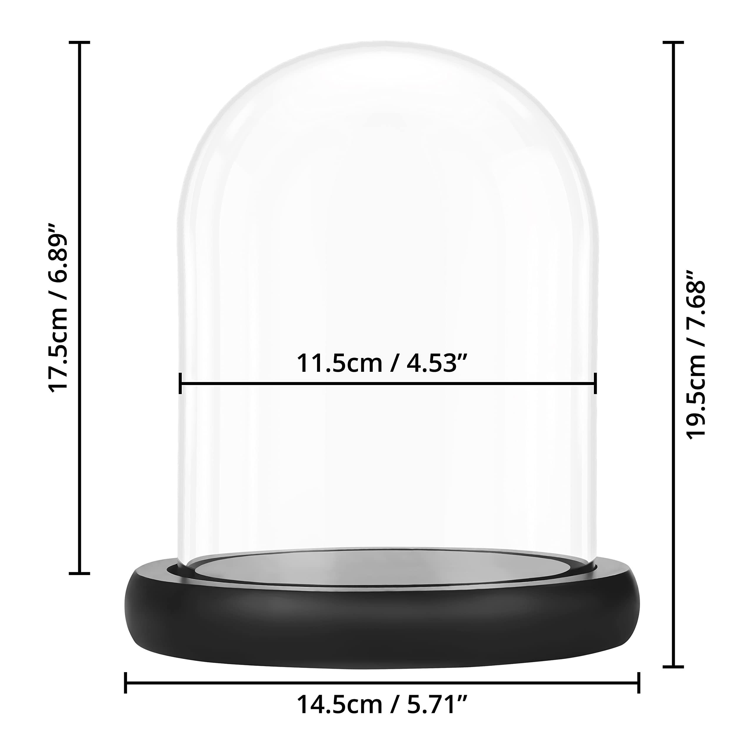 Belle Vous Dekovase Glasglocke mit Tablett - Dekorative Glocke aus Glas - 1 günstig online kaufen