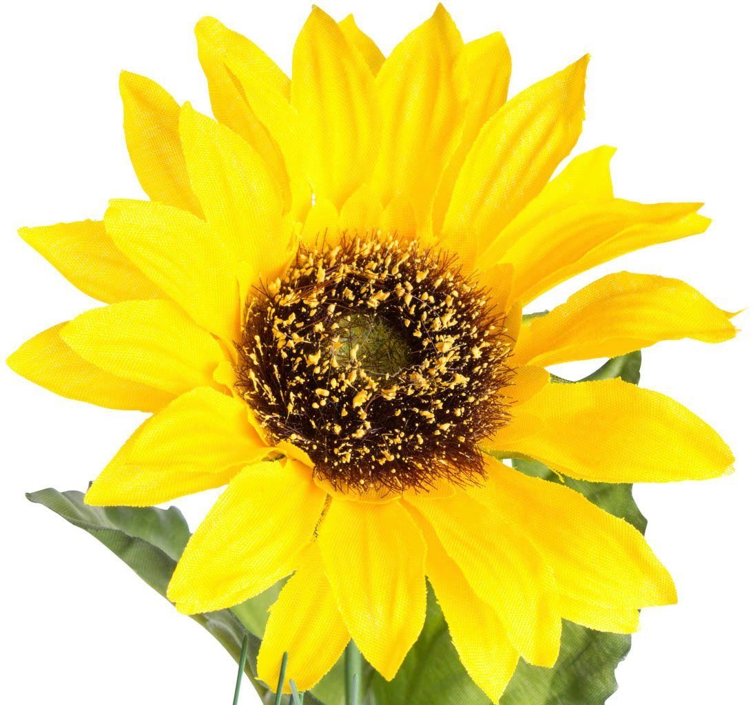Sonnenblume Sonnenblume, Höhe Kunstblume Botanic-Haus, 65 cm