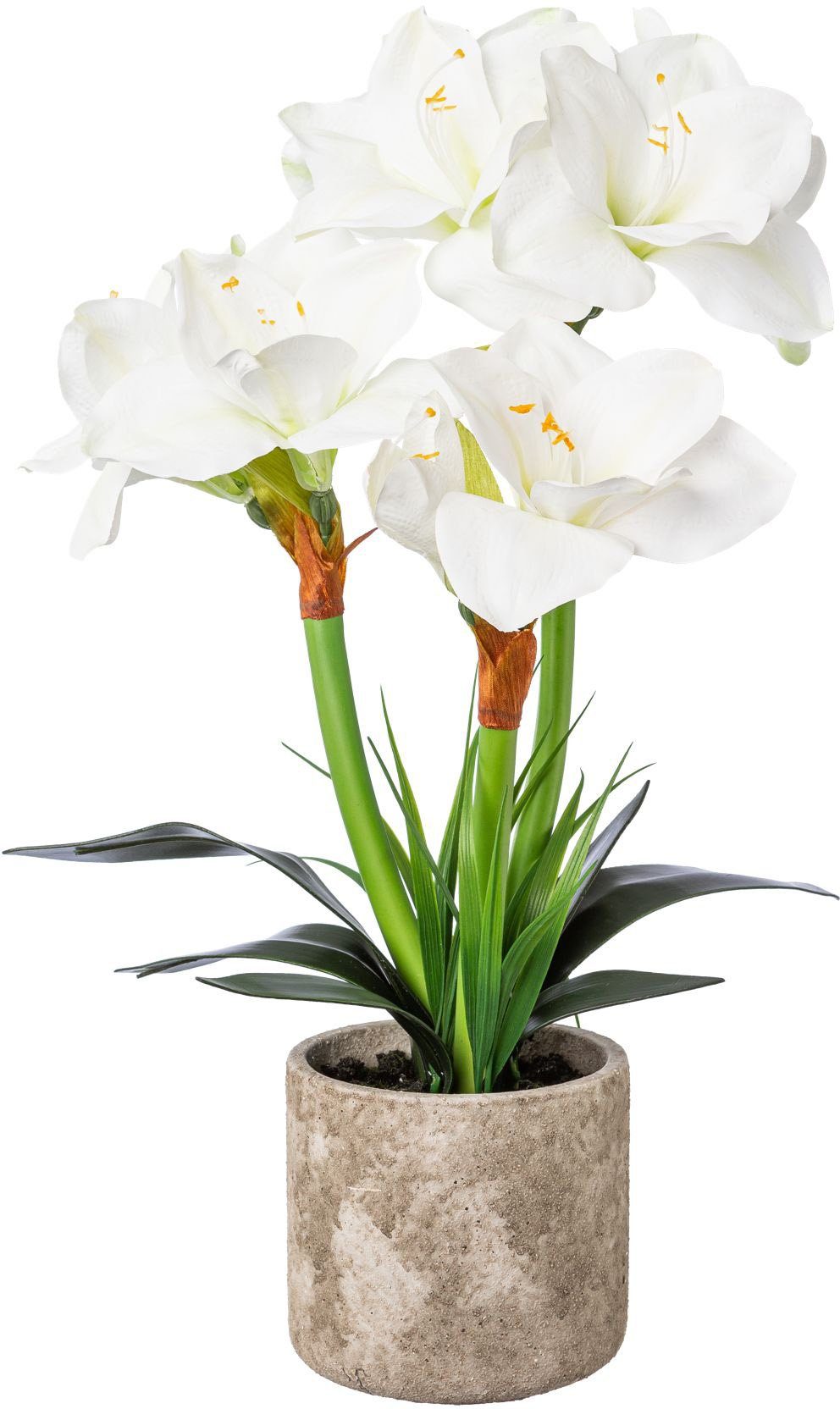 Winterliche Kunstpflanze Weihnachtsdeko Amaryllis, Creativ deco, günstig online kaufen