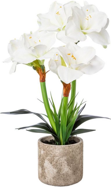 Künstliche Zimmerpflanze Amaryllis, Creativ deco, Höhe 55 cm-Otto