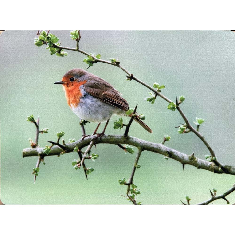 Traumduft-Manufaktur Platzset Rotkehlchen, (1-St), Platzdeckchen Deko-Set Unterlage waschbar