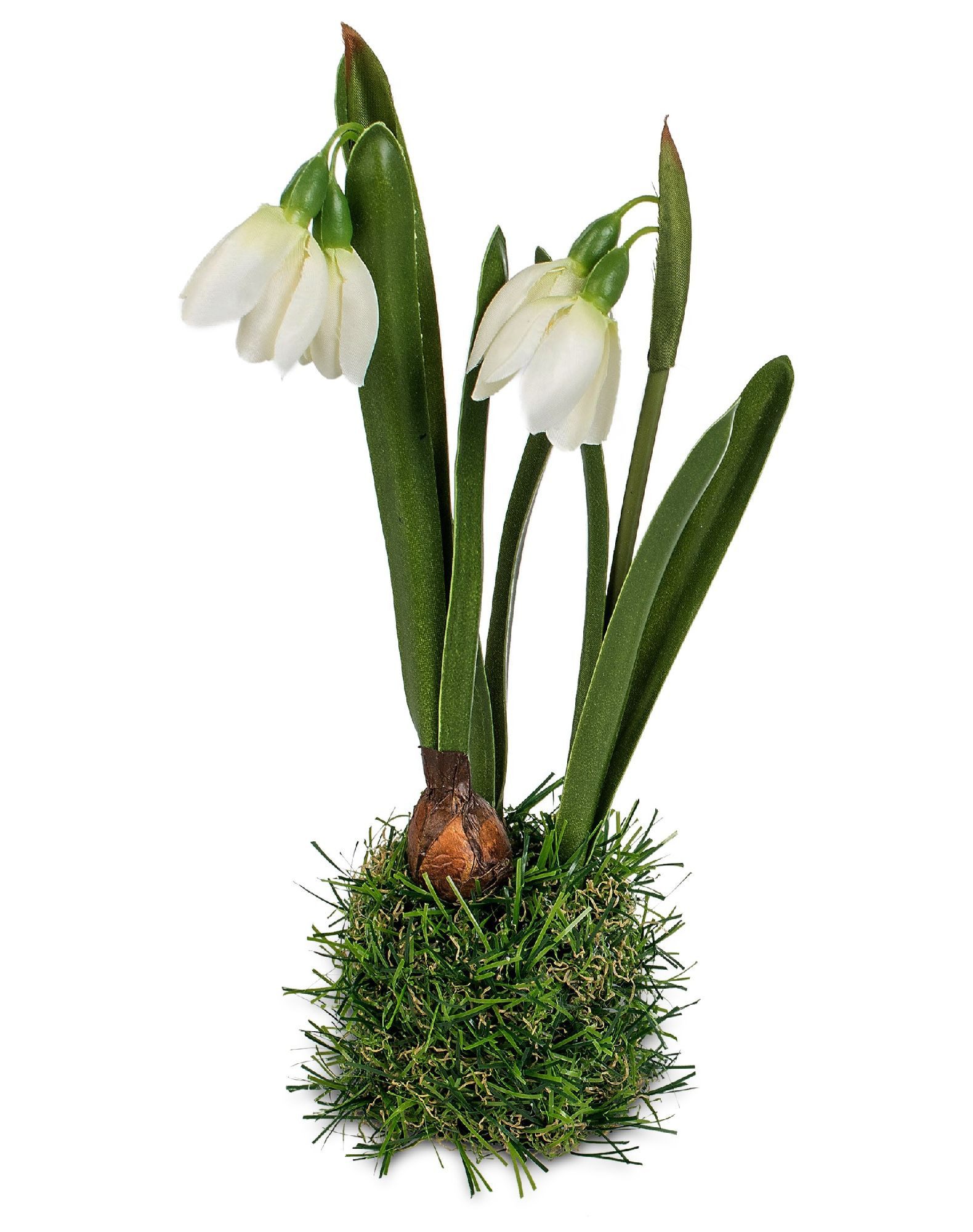 Kunstblume Frühlingszeit, formano, Höhe 23 cm, Farbe: Weiß, Motiv: Blume günstig online kaufen