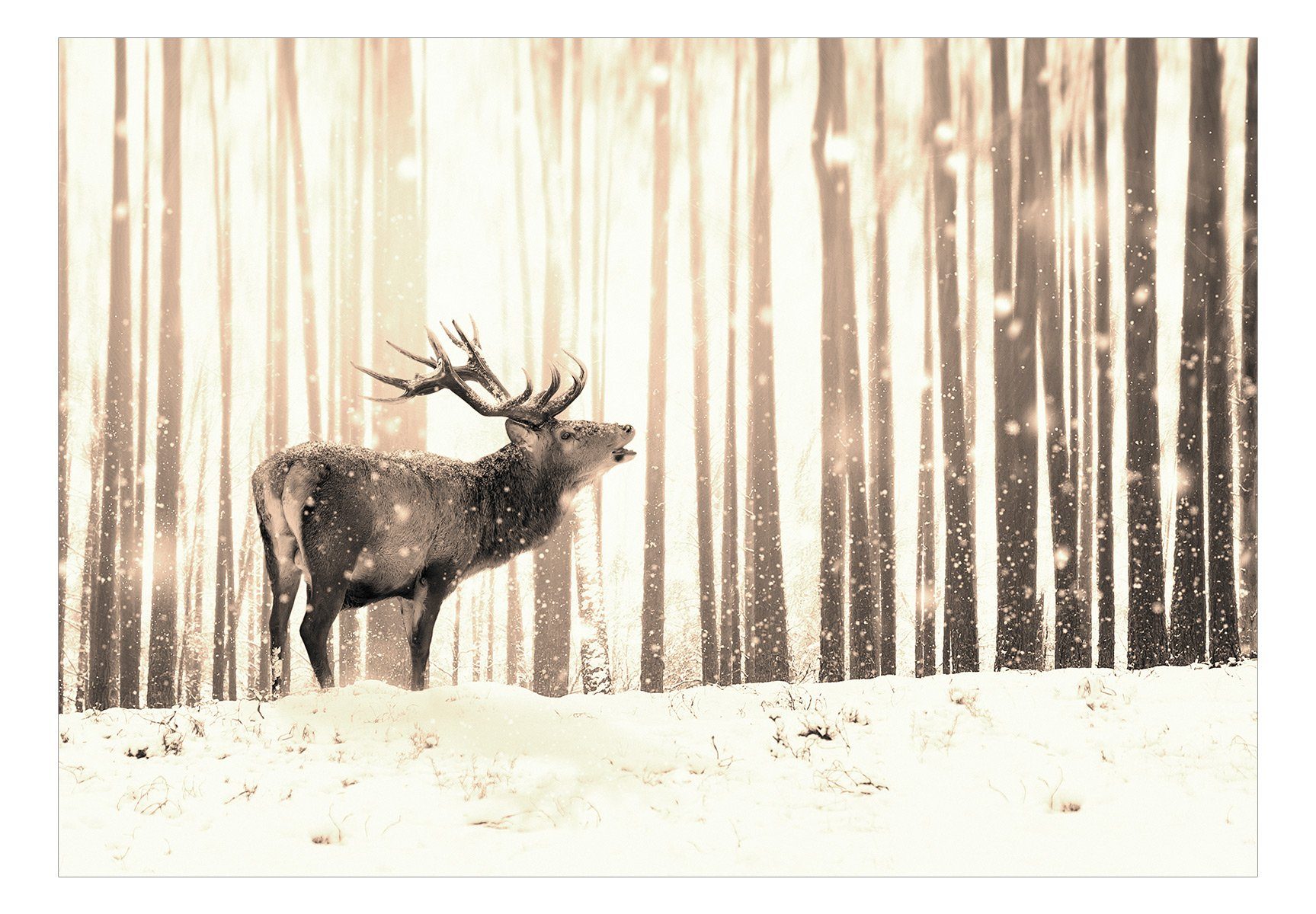 KUNSTLOFT Vliestapete m, in the lichtbeständige (Sepia) Snow Deer halb-matt, Tapete Design 1x0.7