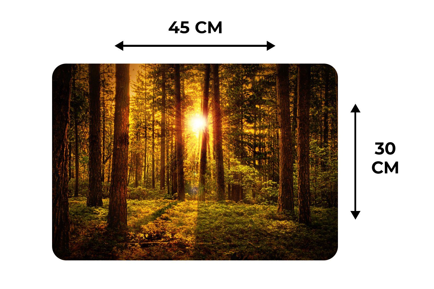 Sonne - Sonnenuntergang, Platzmatte, Platzset, - Platzdecken, Platzset, (6-St), MuchoWow, Tischmatten, Wald Bäume - - Natur Schmutzabweisend