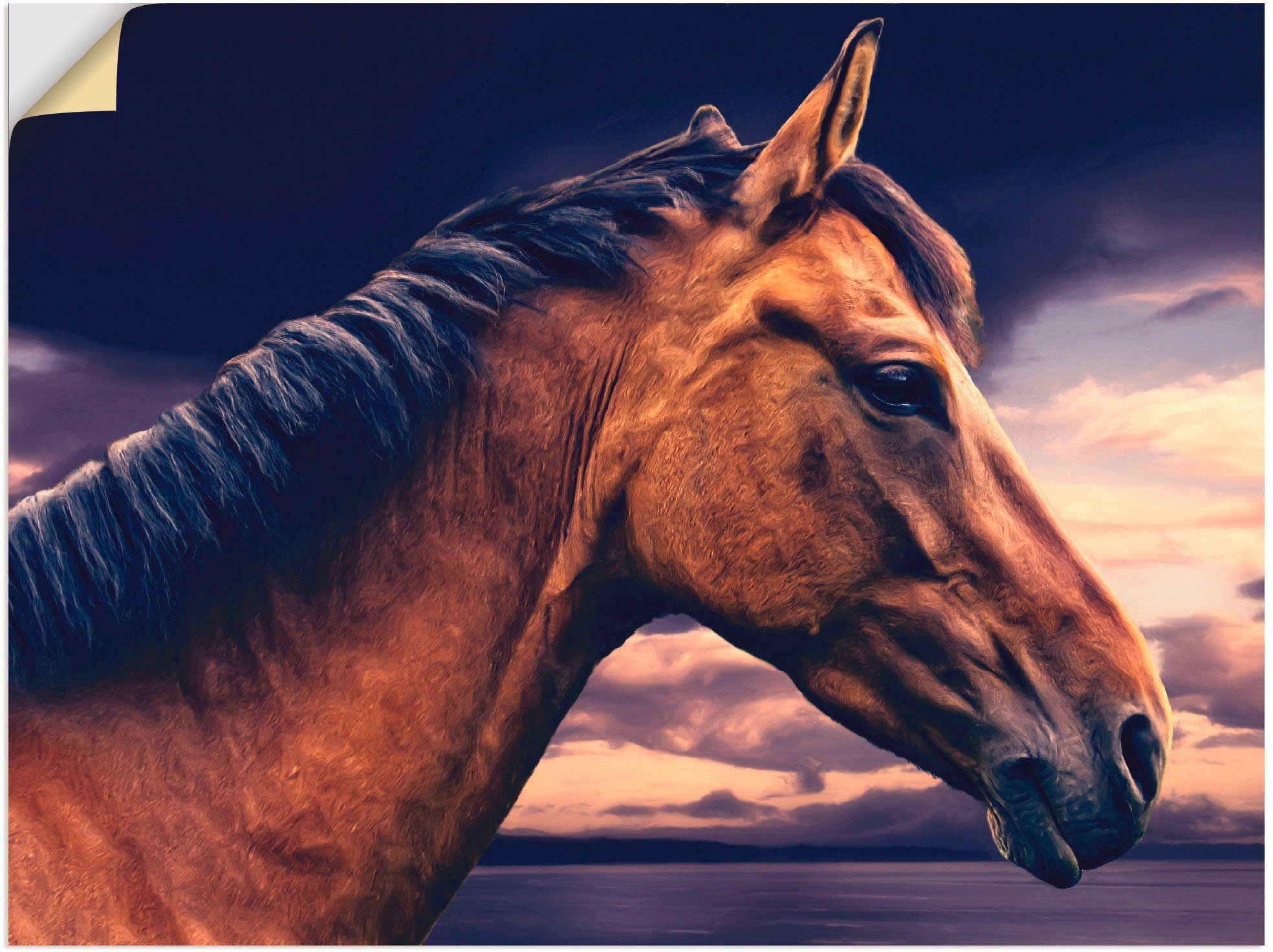 Leinwandbild, oder (1 versch. Pferd am Größen Meer, Wandbild Poster Wandaufkleber Artland als Haustiere St), in