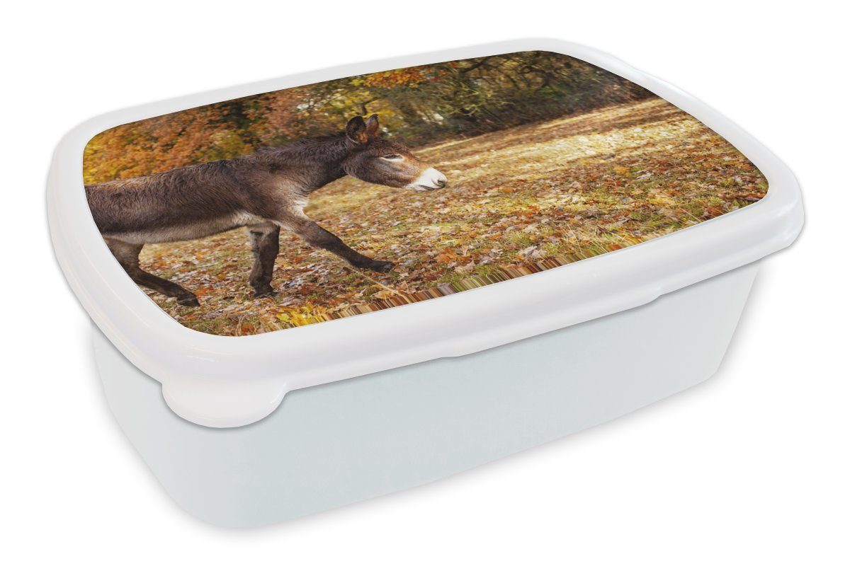MuchoWow Lunchbox Esel läuft durch Herbstballen, Kunststoff, (2-tlg), Brotbox für Kinder und Erwachsene, Brotdose, für Jungs und Mädchen weiß