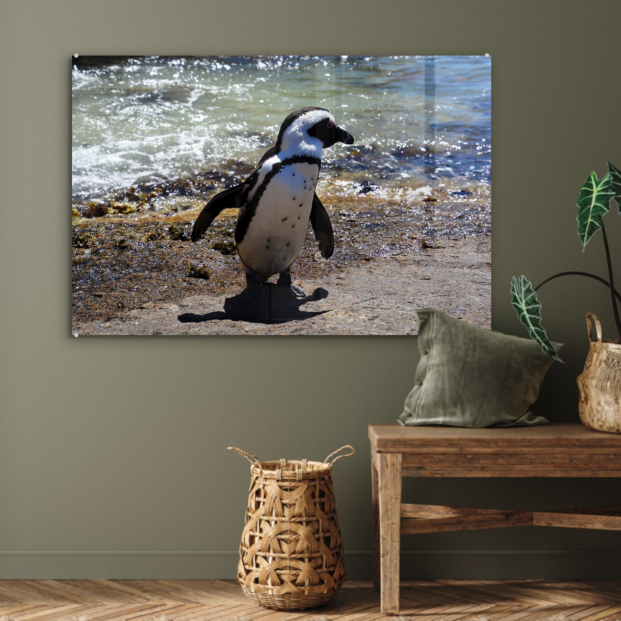 sich Acrylglasbild Wohnzimmer schlängelt Schlafzimmer den (1 Strand St), MuchoWow Humboldt-Pinguin in Acrylglasbilder Peru, über &