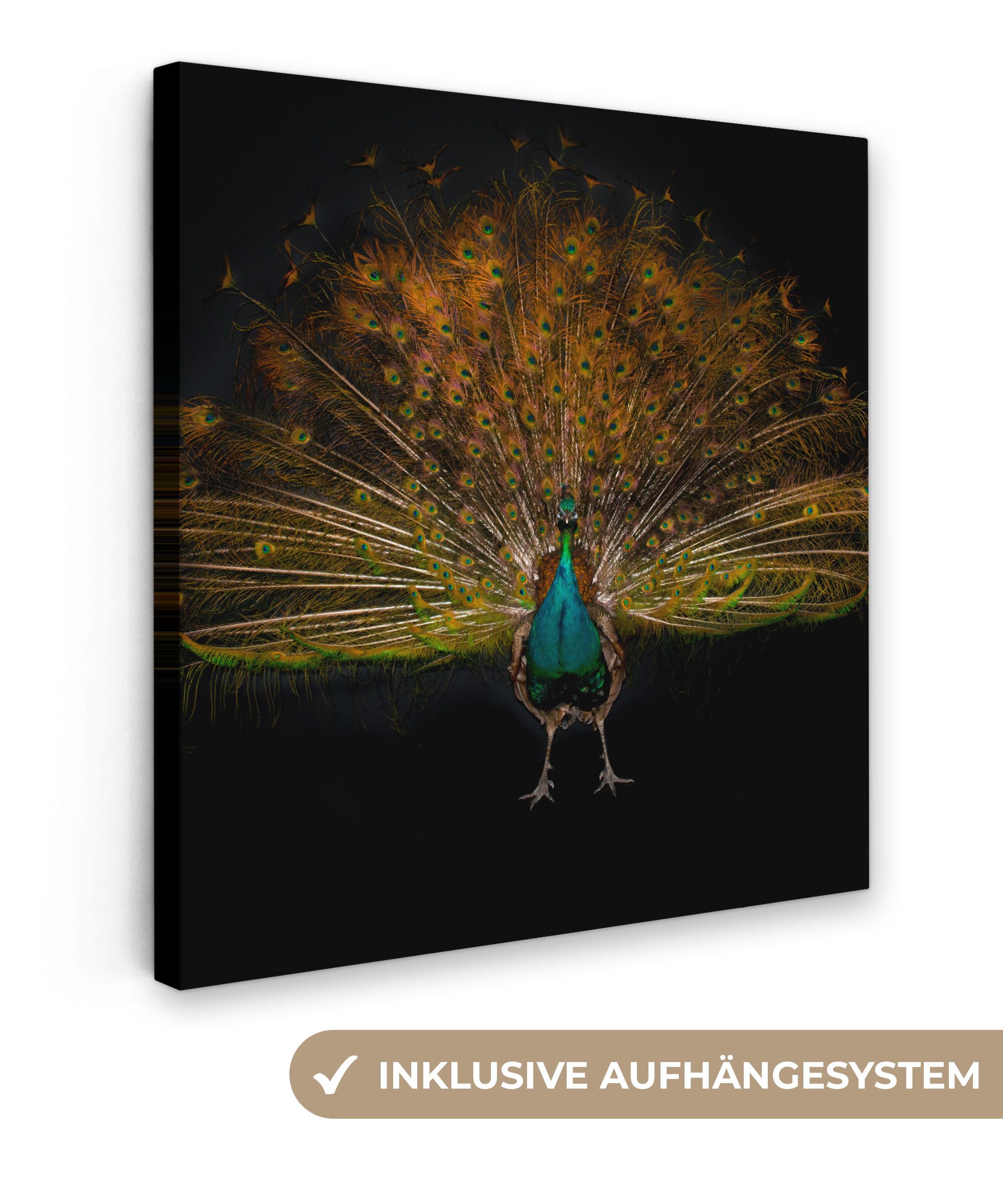 OneMillionCanvasses® Leinwandbild Pfau - Federn - günstig online kaufen
