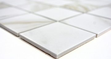 Mosani Mosaikfliesen Keramik Mosaik Fliese Calacatta weiß beige Bad Fliesenspiegel