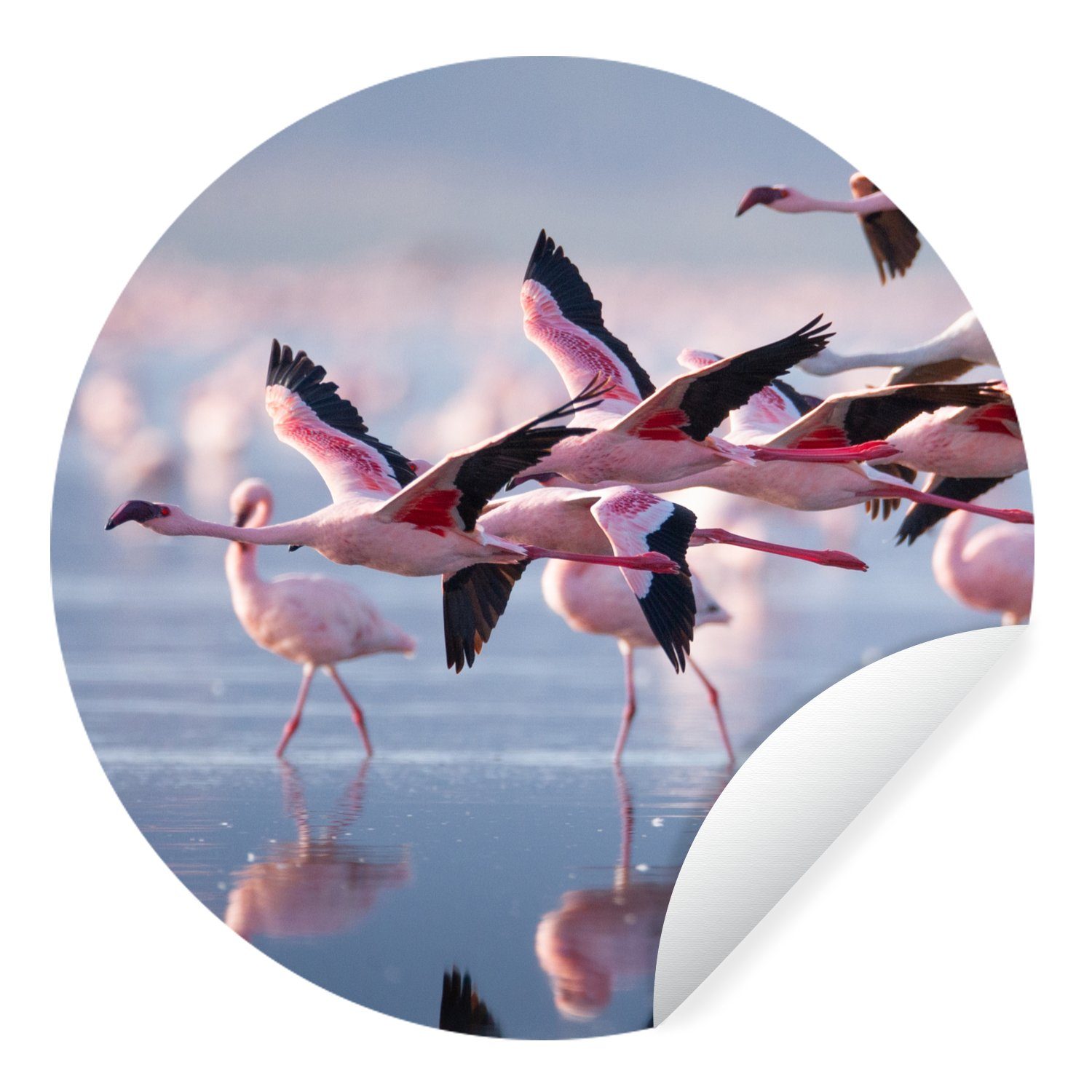 MuchoWow Wandsticker St), Flamingo für Rund, - Kinderzimmer, - Tapetenkreis - Wasser (1 Wohnzimmer Rosa Tapetenaufkleber, Vogel