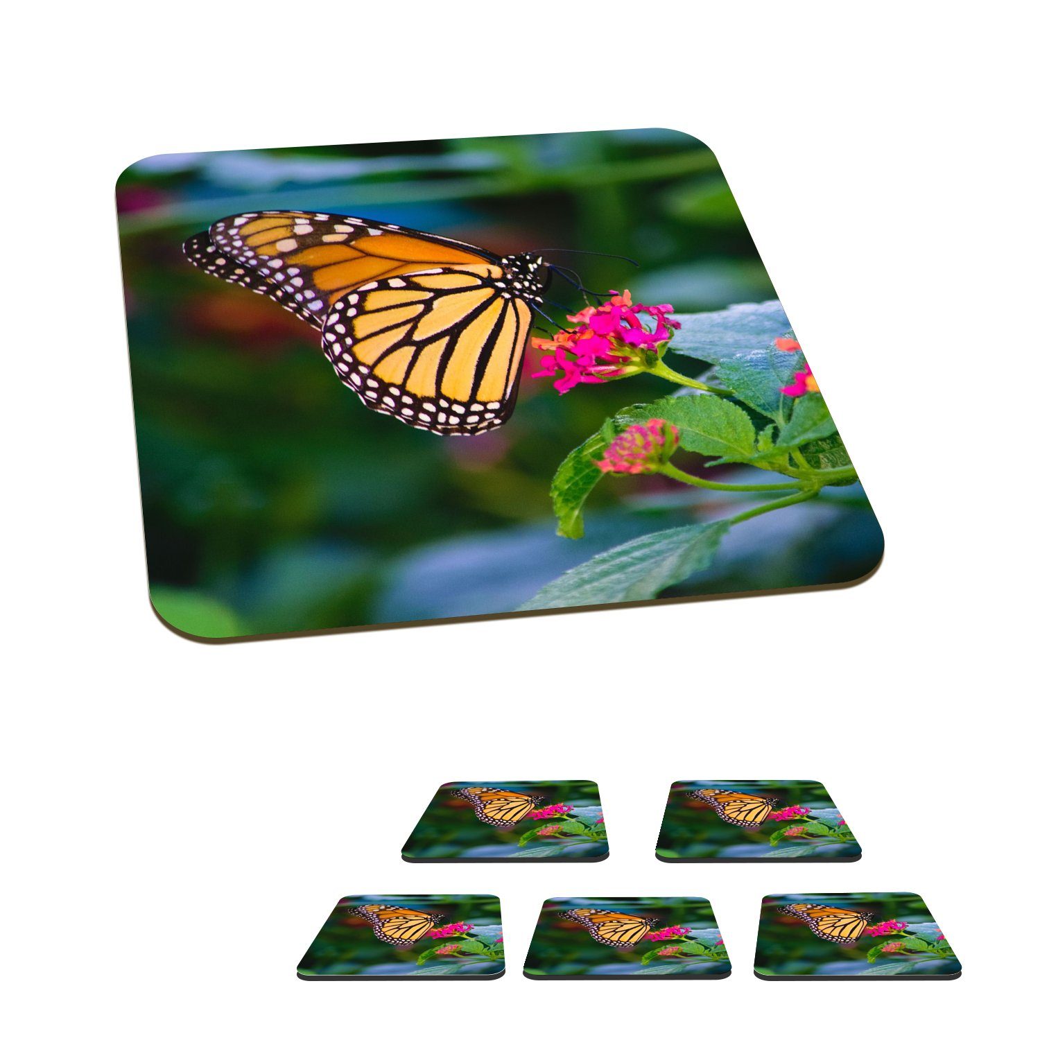 MuchoWow Glasuntersetzer Schmetterlinge - Blume - Natur, Zubehör für Gläser, 6-tlg., Glasuntersetzer, Tischuntersetzer, Korkuntersetzer, Untersetzer, Tasse