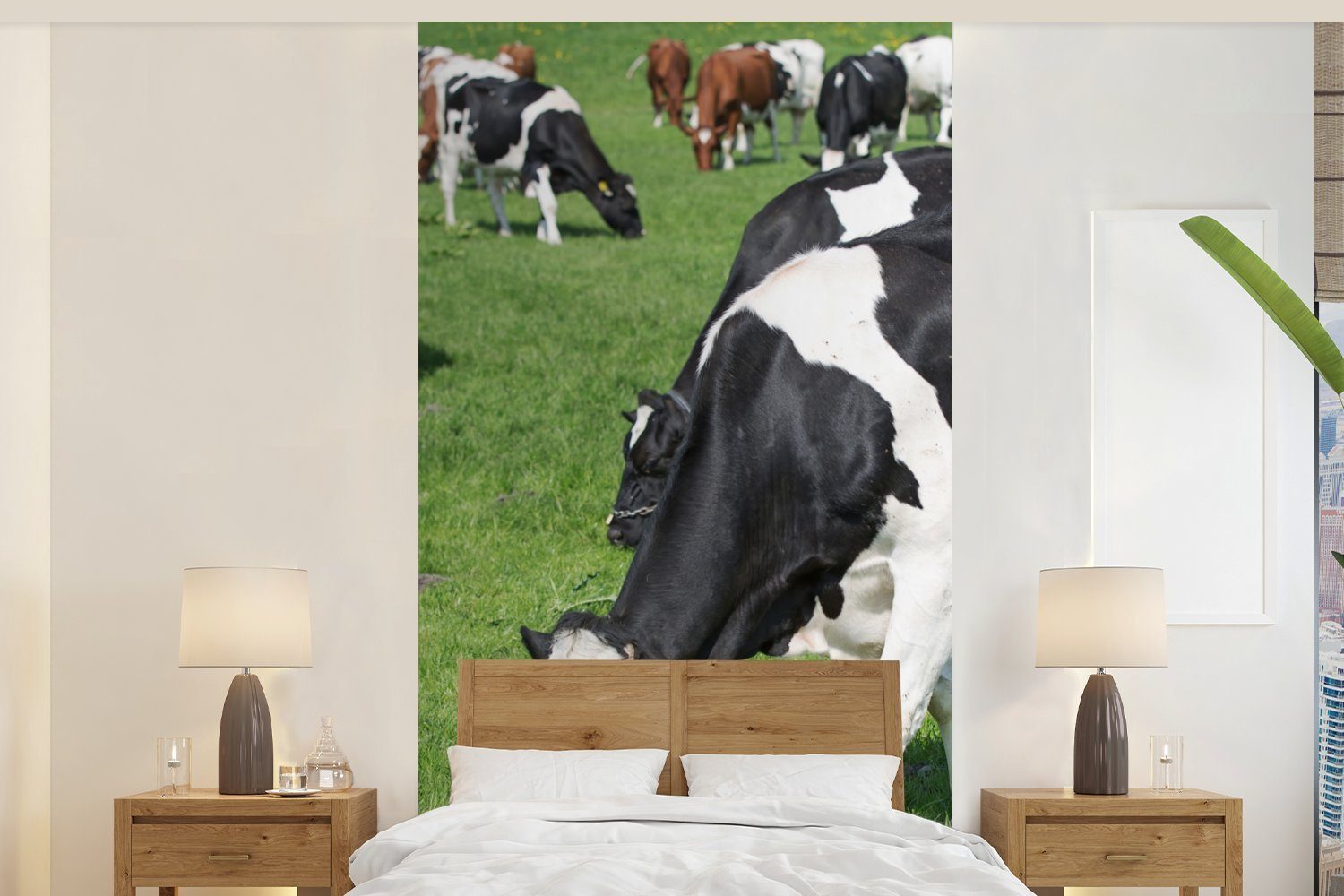 Zögern Sie nicht, zu bestellen MuchoWow Fototapete für Matt, Küche, Fototapete (2 Vliestapete Tiere St), bedruckt, - Wohnzimmer Sonne, Gras - - Kuh Schlafzimmer