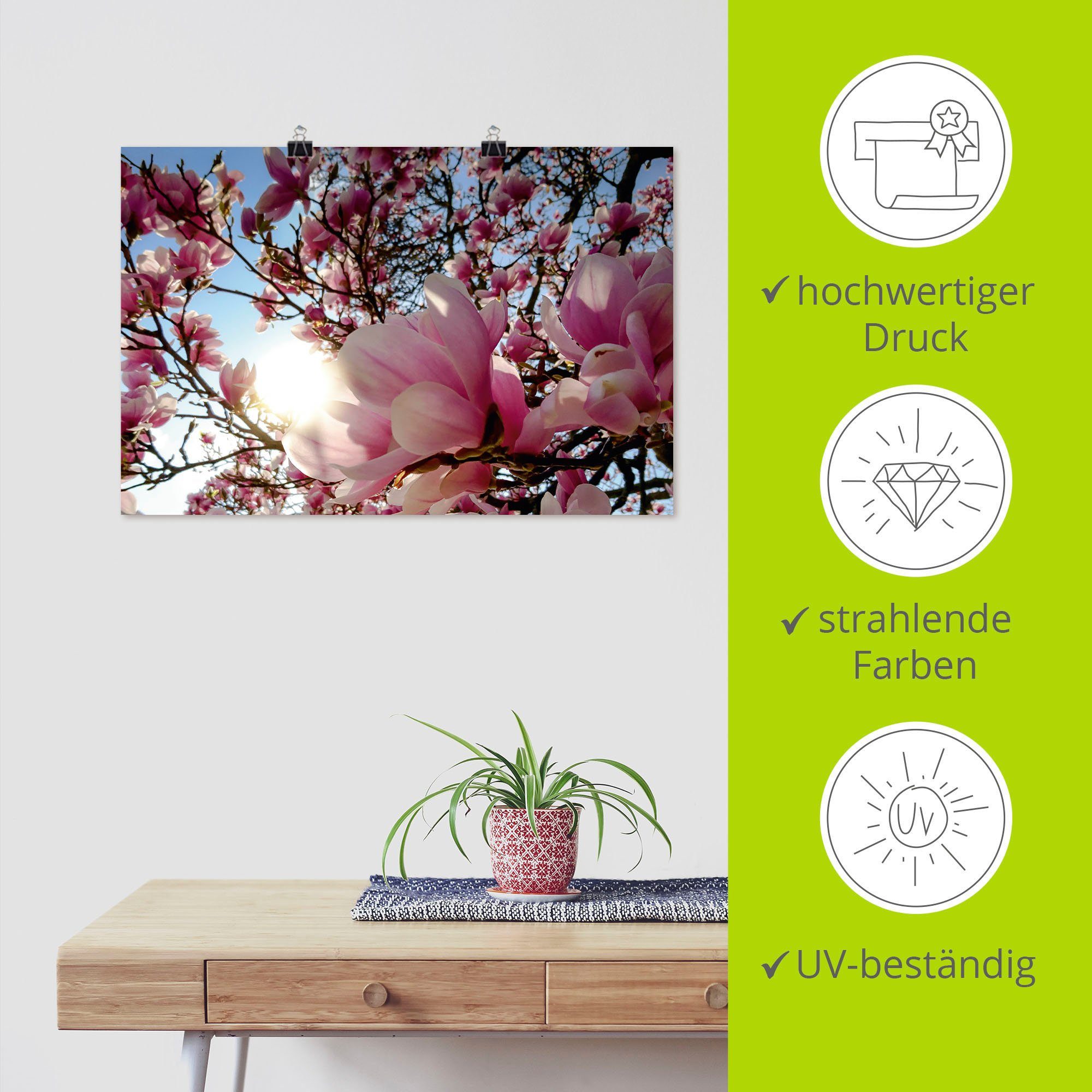 Wandbild als Wandaufkleber oder versch. Alubild, Baumbilder St), Artland Größen in Sonnenschein, Leinwandbild, Magnolienbaum (1 im Poster