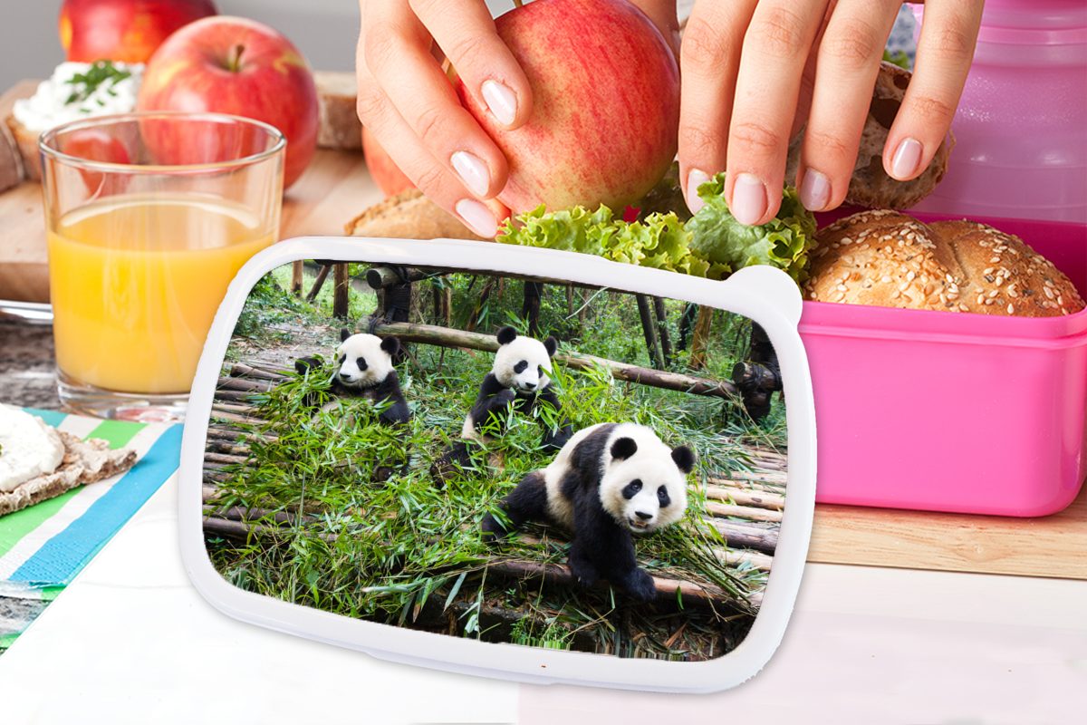 - Kinder, Mädchen, (2-tlg), Erwachsene, Brotdose - rosa Brotbox für Lunchbox Blätter, Kunststoff Pandas Snackbox, MuchoWow Bambus Kunststoff,