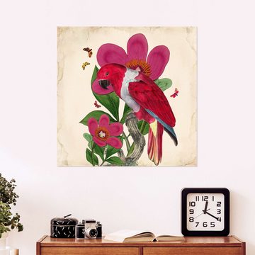 Posterlounge Wandfolie Mandy Reinmuth, Exotische Papageien VI, Wohnzimmer Vintage Malerei