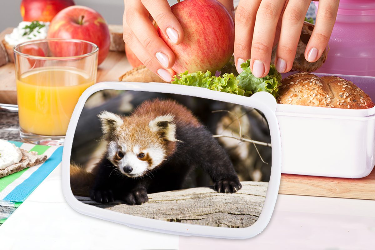MuchoWow Lunchbox Roter Panda - Brotbox für - Kunststoff, (2-tlg), Kinder Brotdose, für Mädchen Tier, weiß und Erwachsene, und Jungs Rüssel