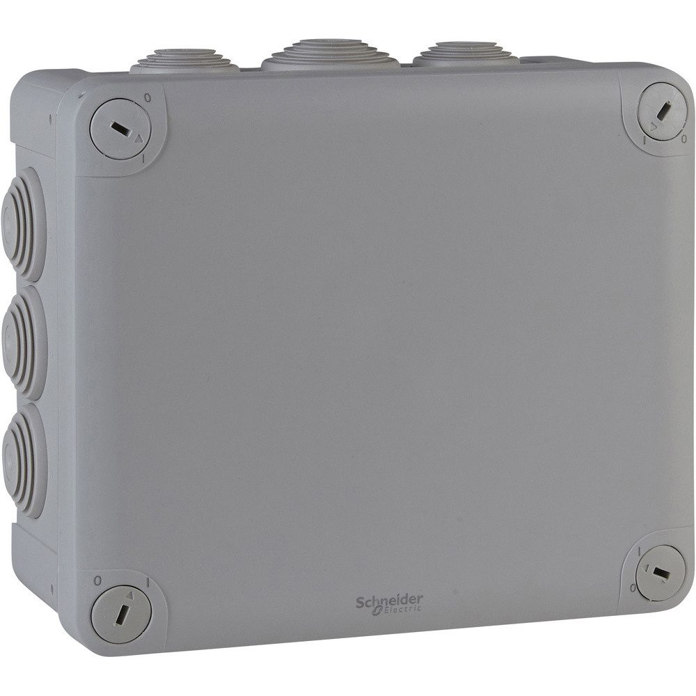 SCHNEIDER Steckdose Schneider Electric ENN05010 Abzweigdose (B x H x T) 195 x 90 x 165 mm