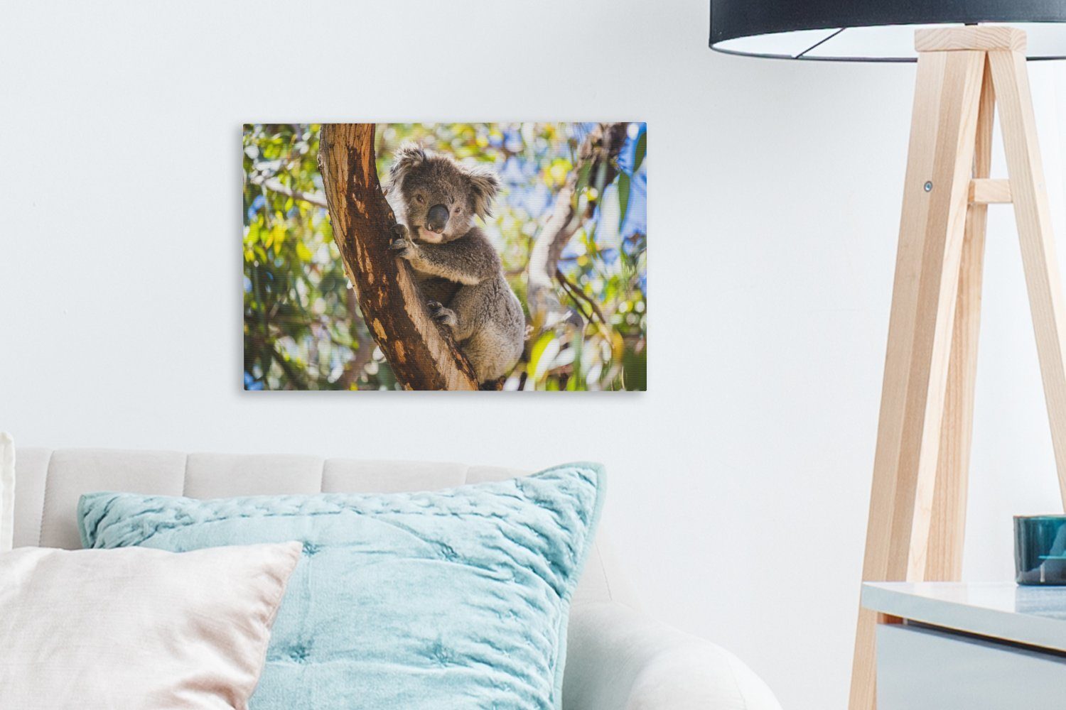OneMillionCanvasses® Leinwandbild (1 Aufhängefertig, St), Wandbild Baum, Wanddeko, cm Leinwandbilder, 30x20 - - Koala Eukalyptus
