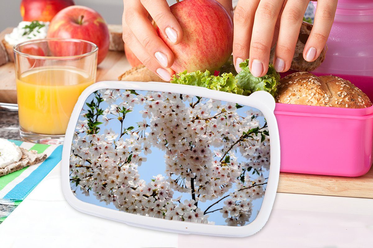 Lunchbox Snackbox, Brotdose - (2-tlg), für Mädchen, Kunststoff Blumen Brotbox Erwachsene, Pflanzen MuchoWow Zweig, rosa Kunststoff, Kinder, -