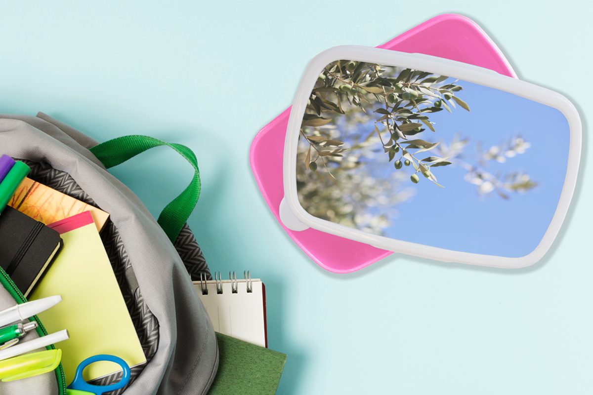 MuchoWow Lunchbox Zweige des Olivenbaums (2-tlg), Brotdose Kunststoff, Erwachsene, in Brotbox Snackbox, Frankreich, rosa Mädchen, für Kunststoff Kinder
