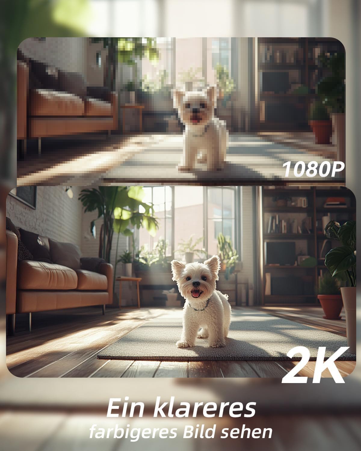 Blurams Überwachungskamera 2K 360° WLAN Kamera mit Bewegungserkennung (Innen, 1-tlg., Farbnachtsicht, 2-Wege-Audio, kompatibel mit Alexa und Google)