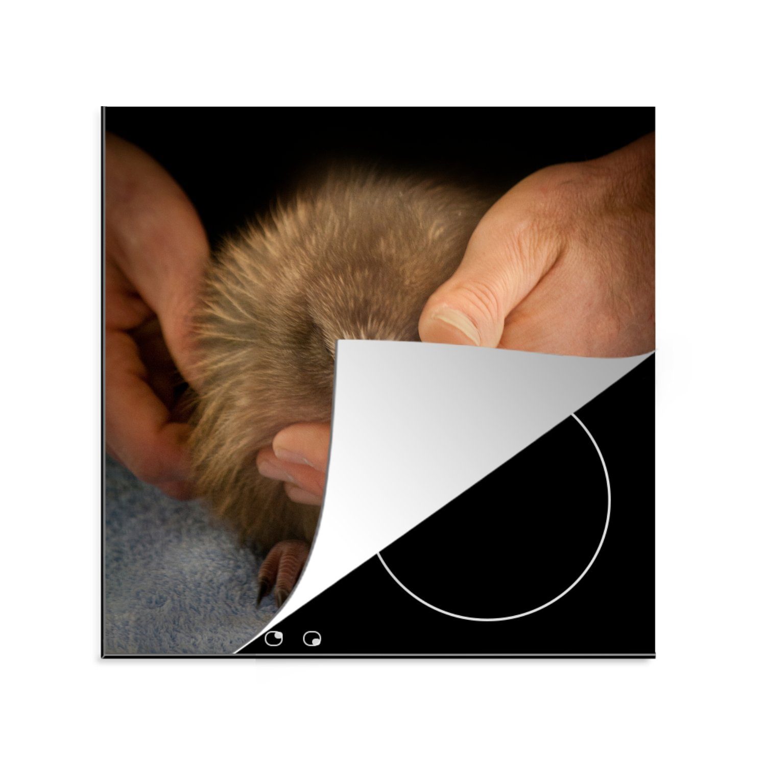 MuchoWow Herdblende-/Abdeckplatte Kiwi-Vogel in den Händen, Vinyl, (1 tlg), 78x78 cm, Ceranfeldabdeckung, Arbeitsplatte für küche