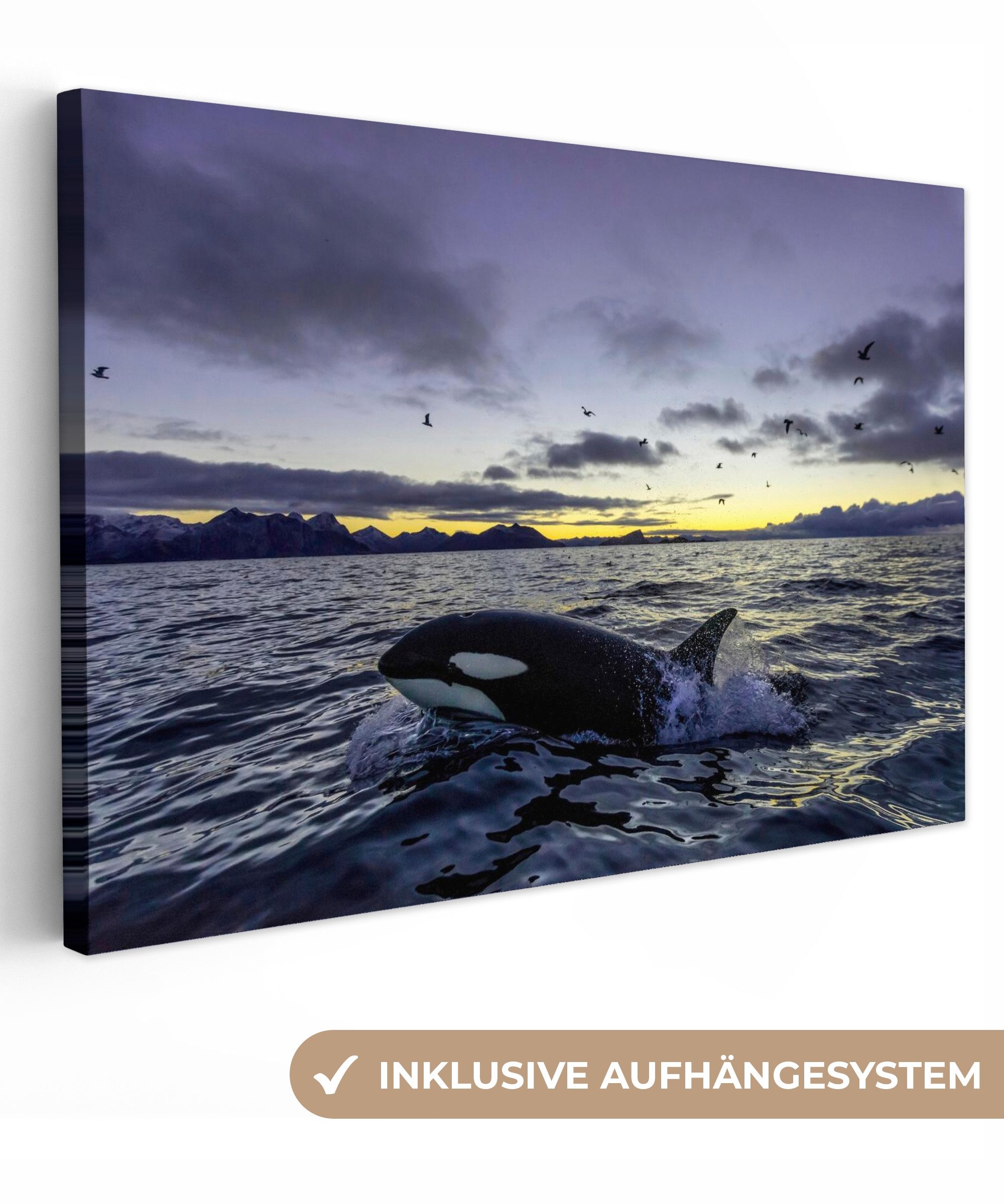 OneMillionCanvasses® Leinwandbild Orca bei Sonnenaufgang, Fotodruck (1 St), Leinwand Bilder Klein, Wand Dekoration Aesthetic 30x20 cm