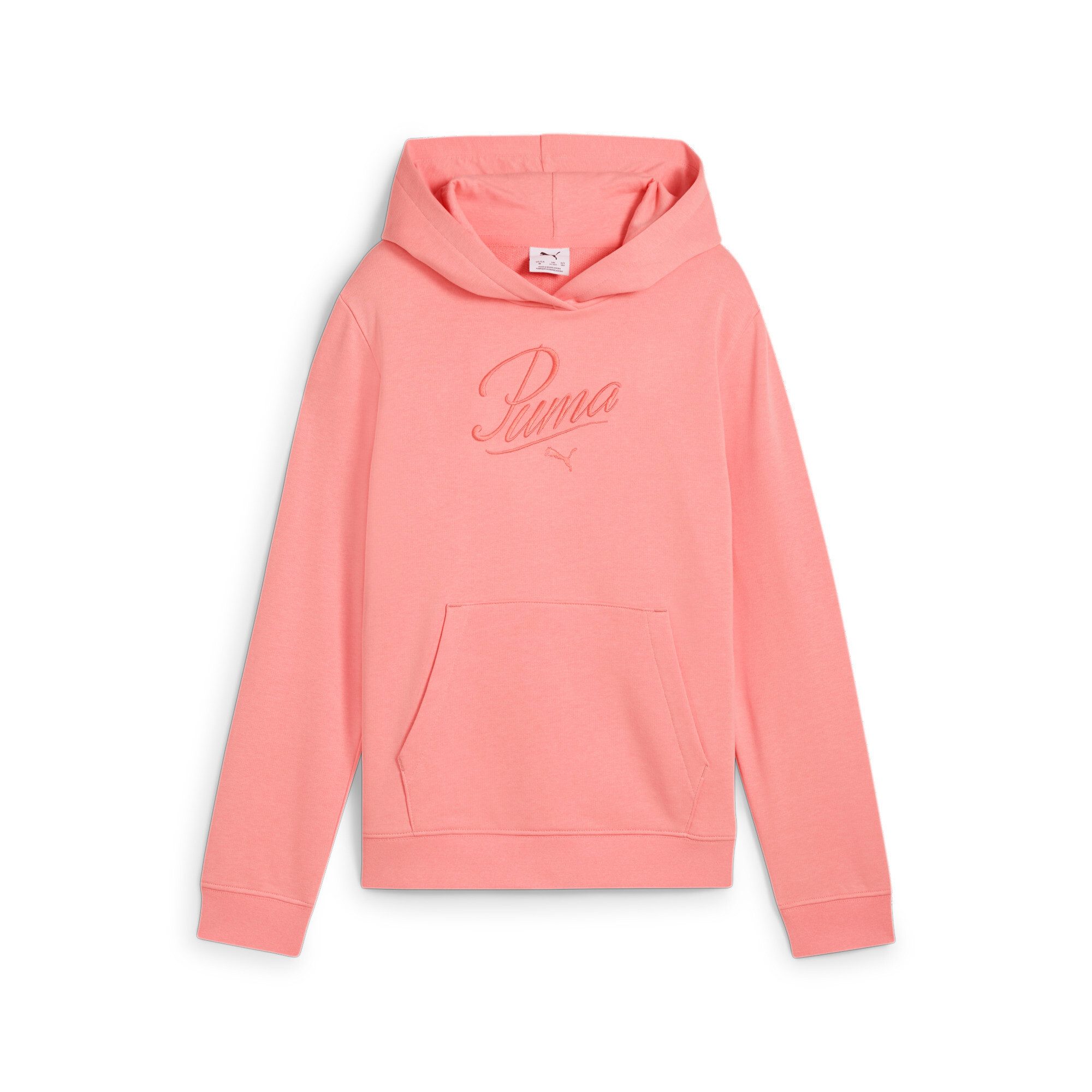 PUMA Kapuzensweatshirt ESS SCRIPT HOODIE TR günstig online kaufen
