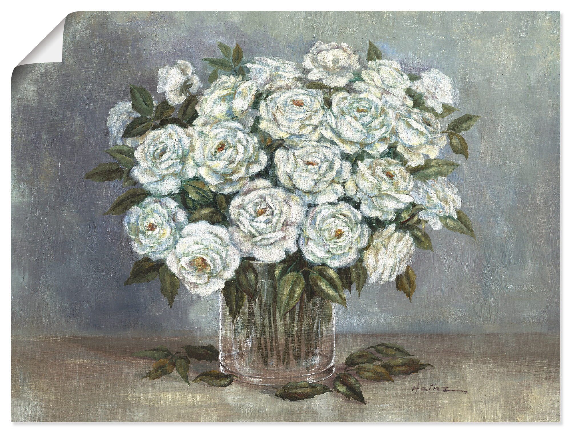 Artland Wandbild Weiße Rosen, Blumen (1 St), als Alubild, Leinwandbild, Wandaufkleber oder Poster in versch. Größen