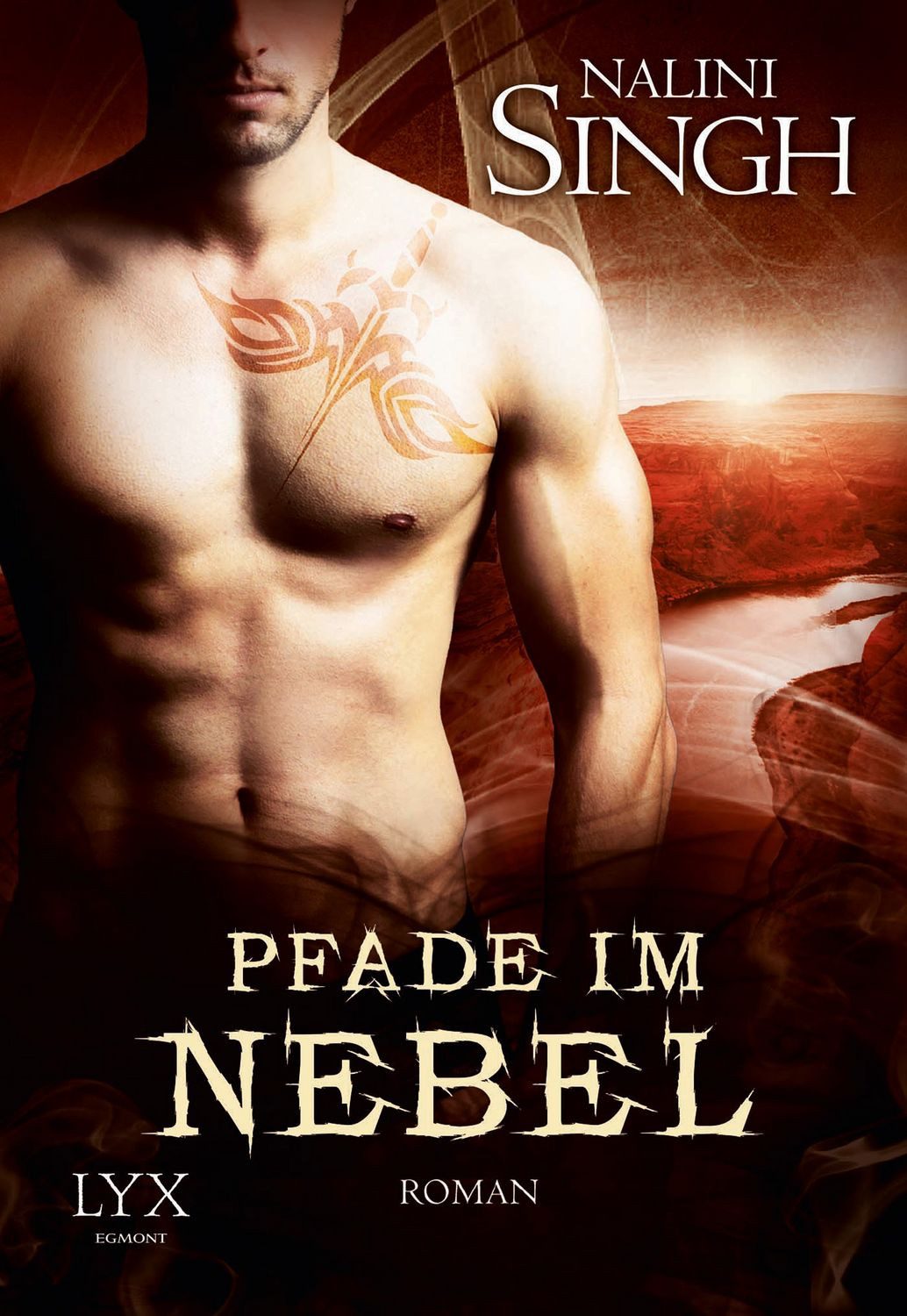 Pfade im Nebel / Gestaltwandler Band 13 / Nalini Singh