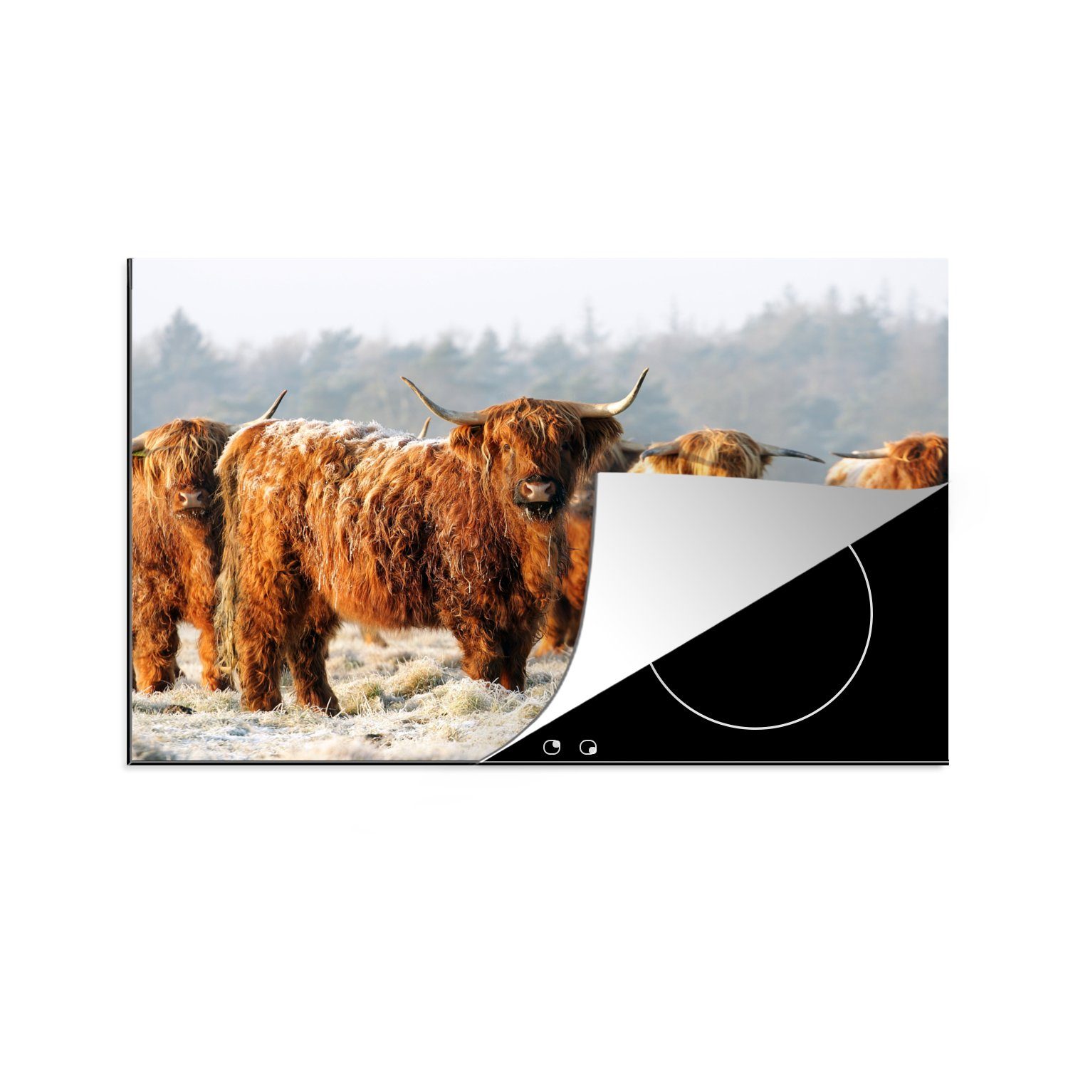 MuchoWow Herdblende-/Abdeckplatte Schottische Highlander - Schnee - Wald, Vinyl, (1 tlg), 81x52 cm, Induktionskochfeld Schutz für die küche, Ceranfeldabdeckung