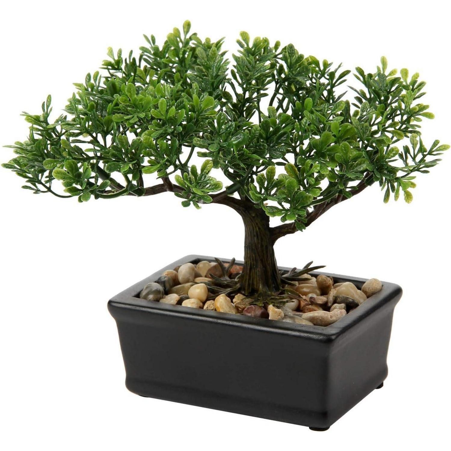 Kunstbonsai Kunstbonsai Künstliche Pflanze Bonsai Podocarpus Schwarz, Briful