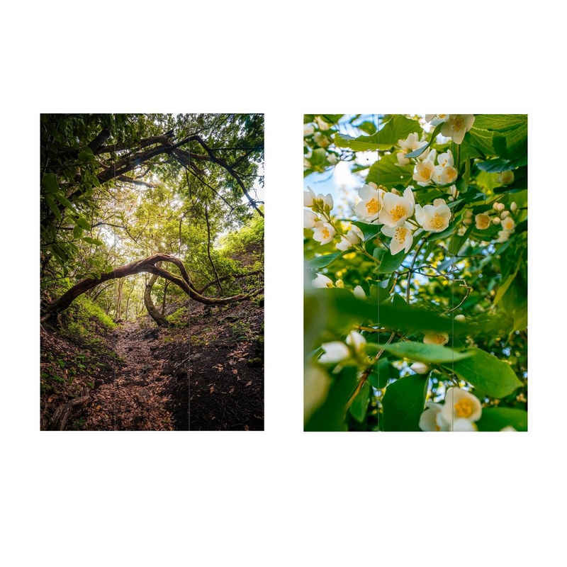 HTI-Living Paravent Paravent Natur Waldblick (1 St), Raumteiler Sichtschutz Trennwand