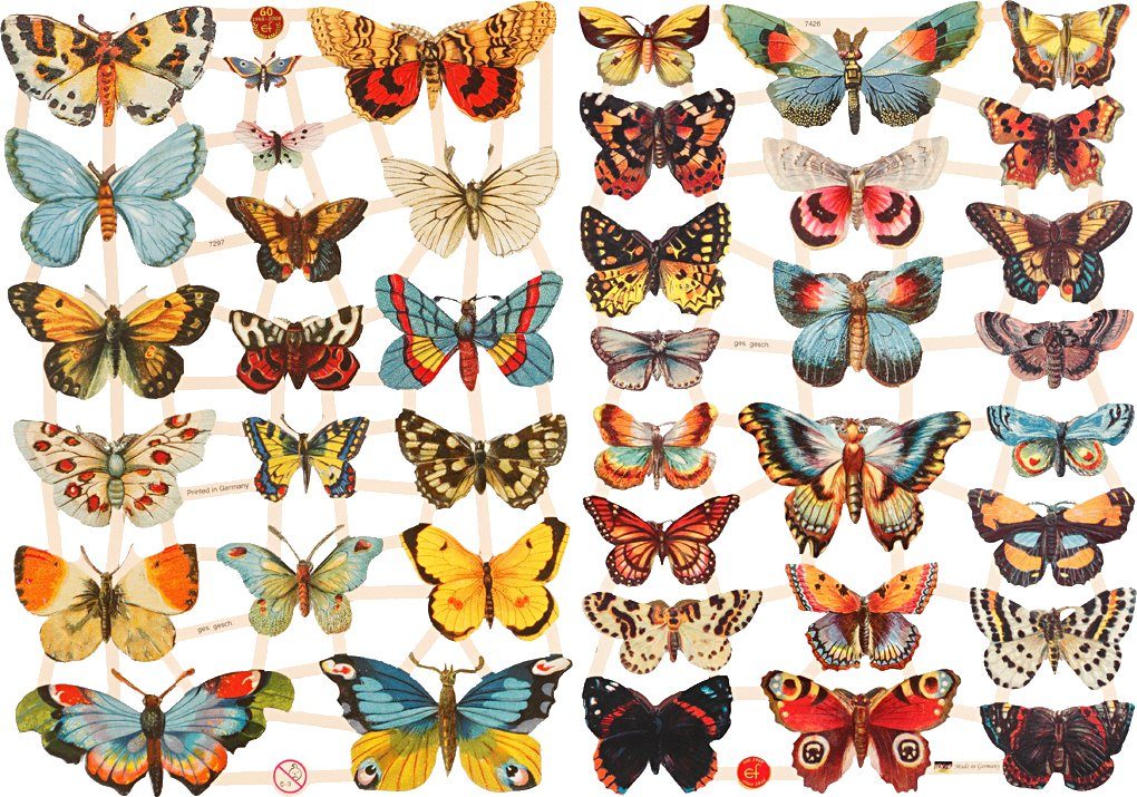 und Motive, Motivpapier Schmetterlinge, creativ gestanz 40 geprägt company