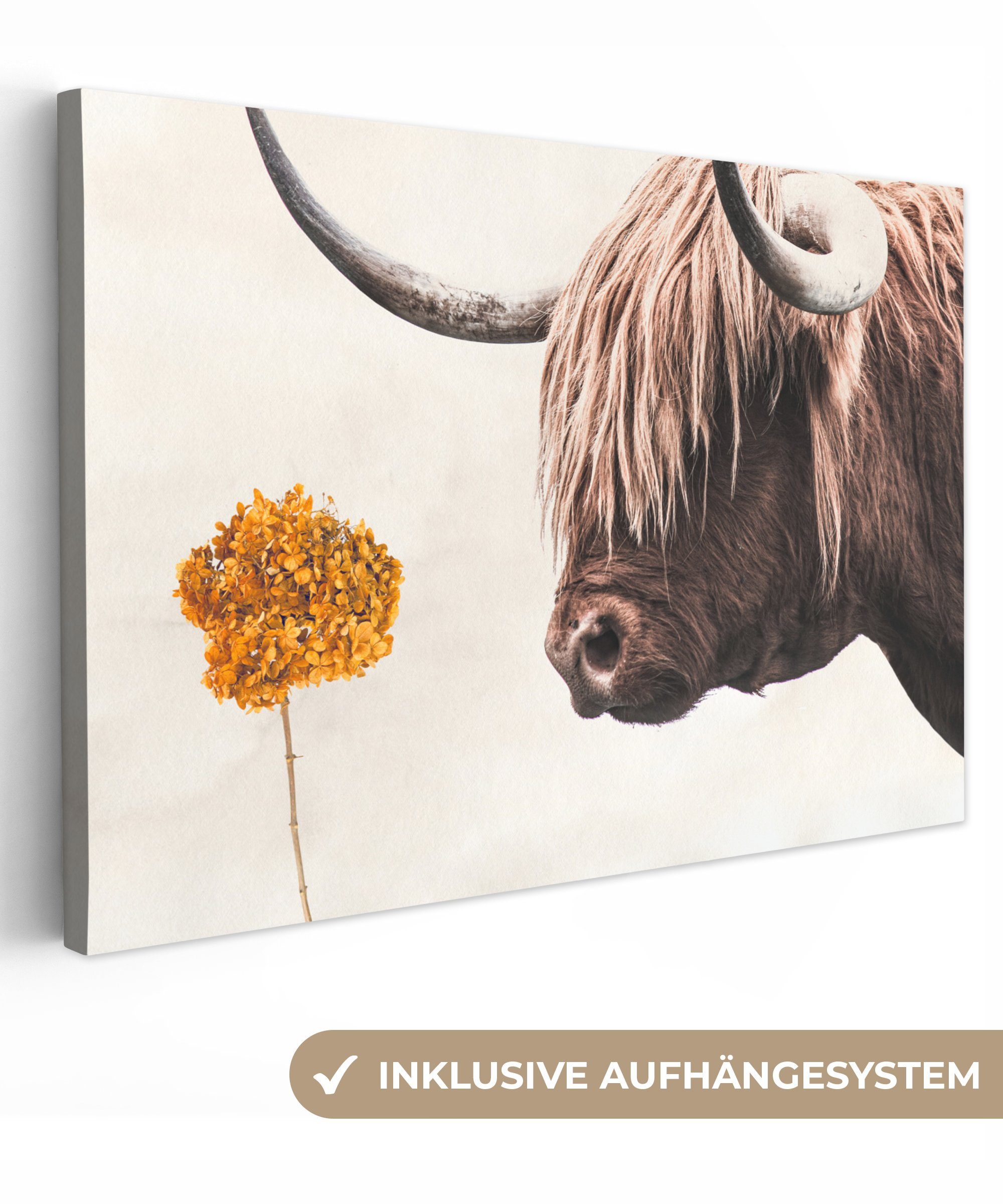 OneMillionCanvasses® Leinwandbild Schottischer Highlander - Blume - Orange, (1 St), Wandbild Leinwandbilder, Aufhängefertig, Wanddeko, 30x20 cm