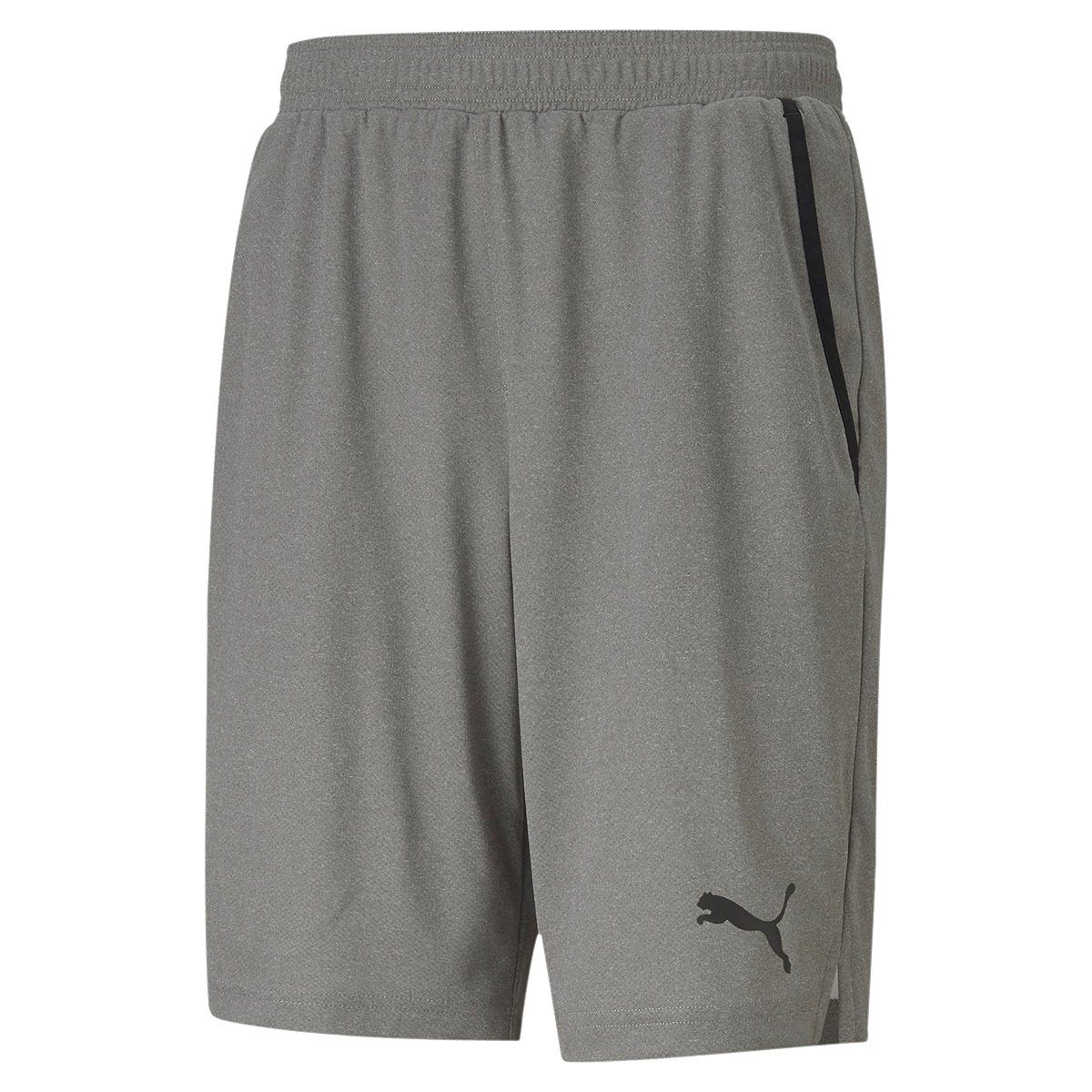 PUMA Sweatshorts Herren Jogginghose - RTG Interlock Shorts, Knitted