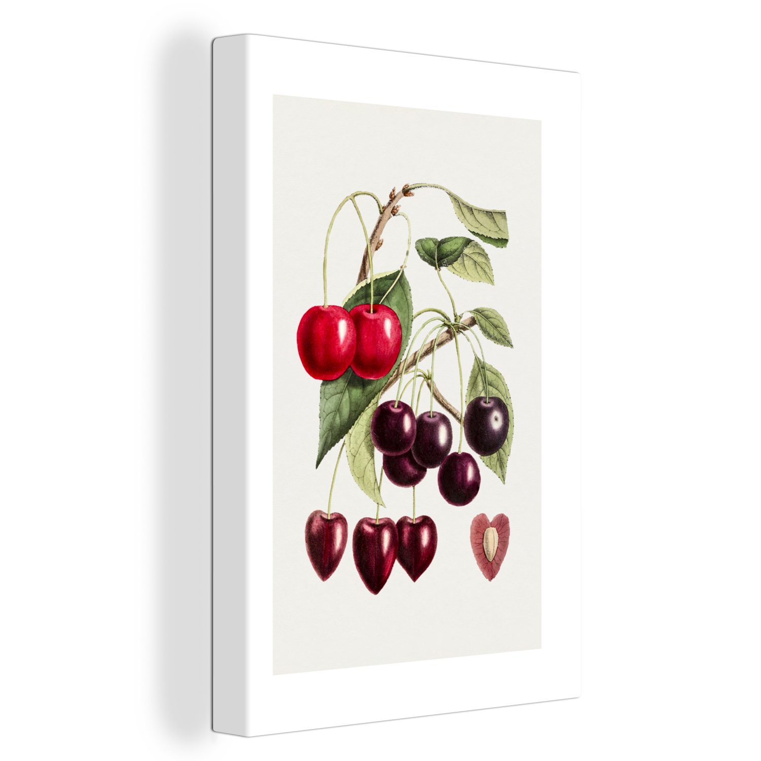 OneMillionCanvasses® Leinwandbild Lebensmittel - Kirschen - Obst, (1 St), Leinwandbild fertig bespannt inkl. Zackenaufhänger, Gemälde, 20x30 cm