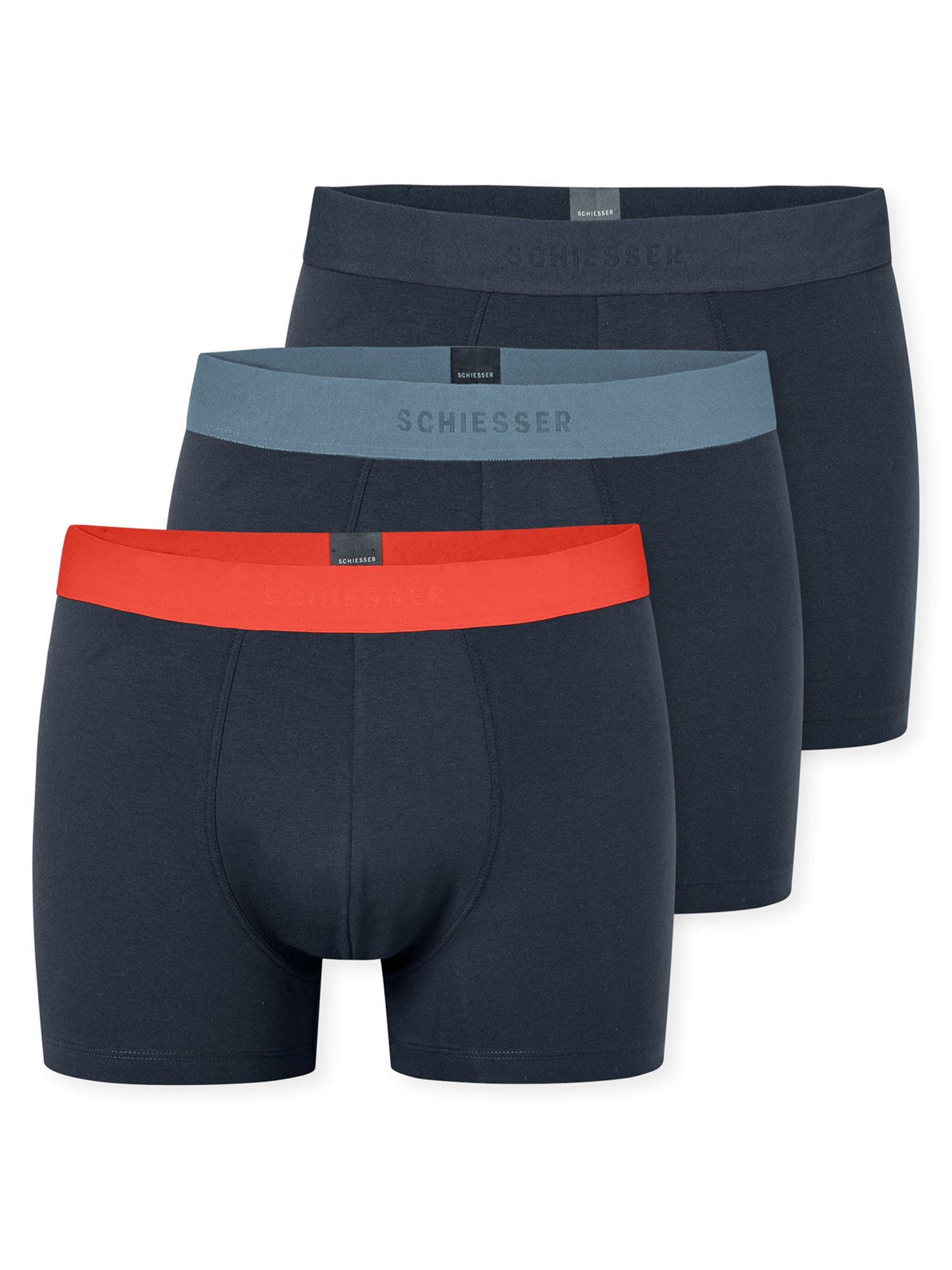 Trunk 955 Multi