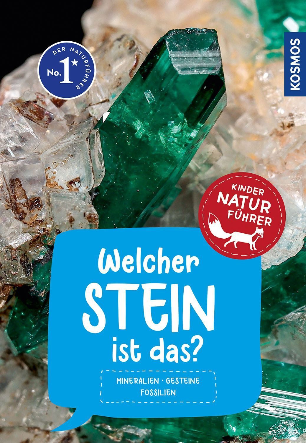 Welcher Stein ist das? Kindernaturführer / Rupert Hochleitner