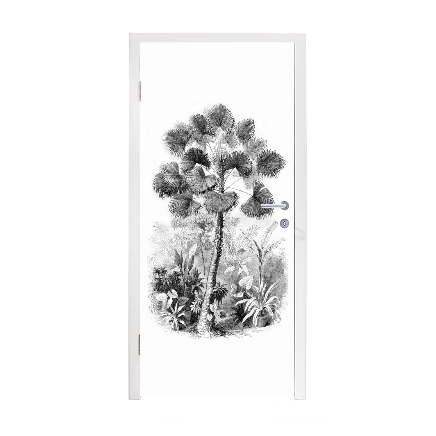 MuchoWow Türtapete Blätter - Schwarz und weiß - Design - Palme, Matt, bedruckt, (1 St), Fototapete für Tür, Türaufkleber, 75x205 cm
