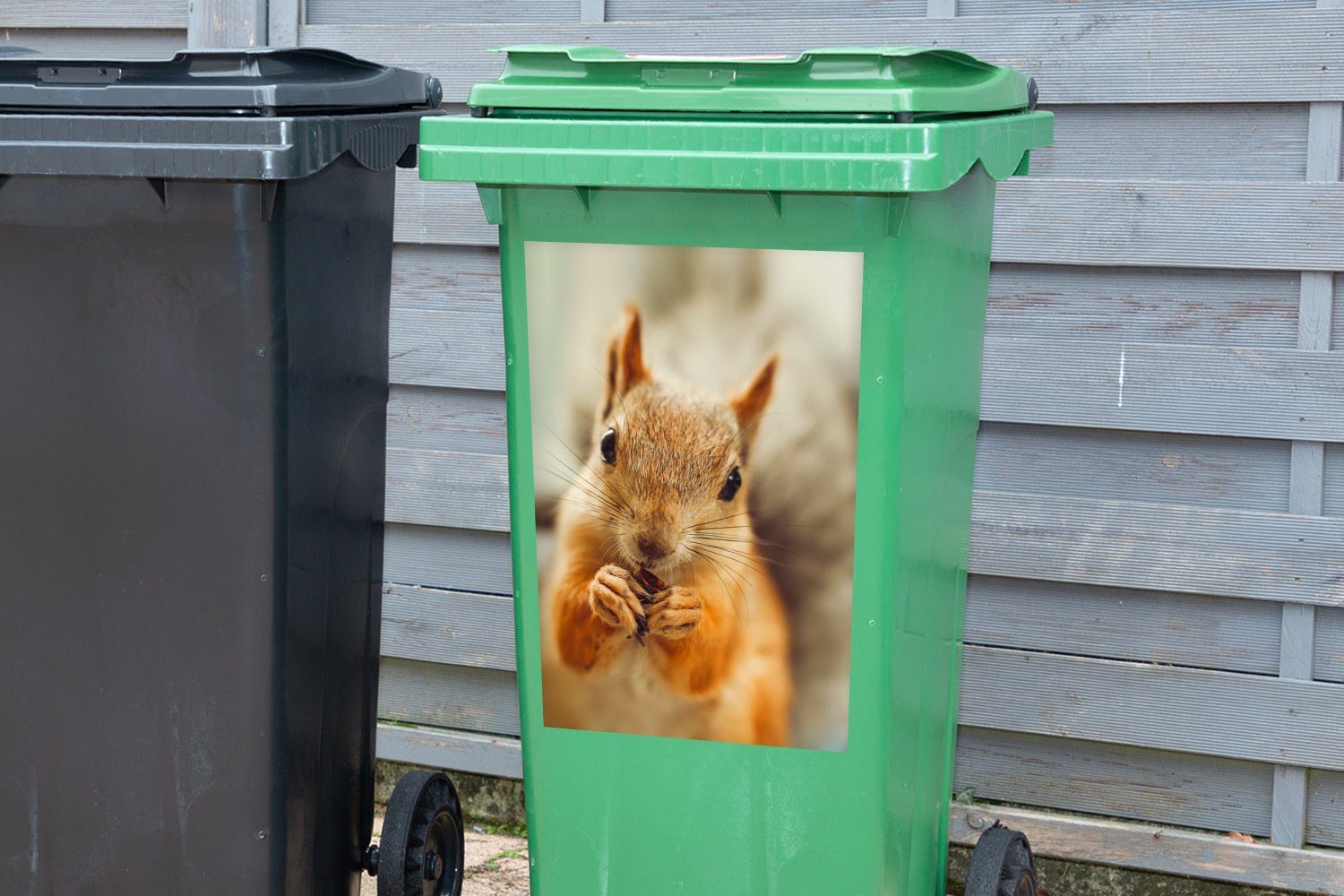 MuchoWow Wandsticker Eichhörnchen - (1 St), Tiere Abfalbehälter Porträt Mülleimer-aufkleber, Container, - Wilde Sticker, Mülltonne