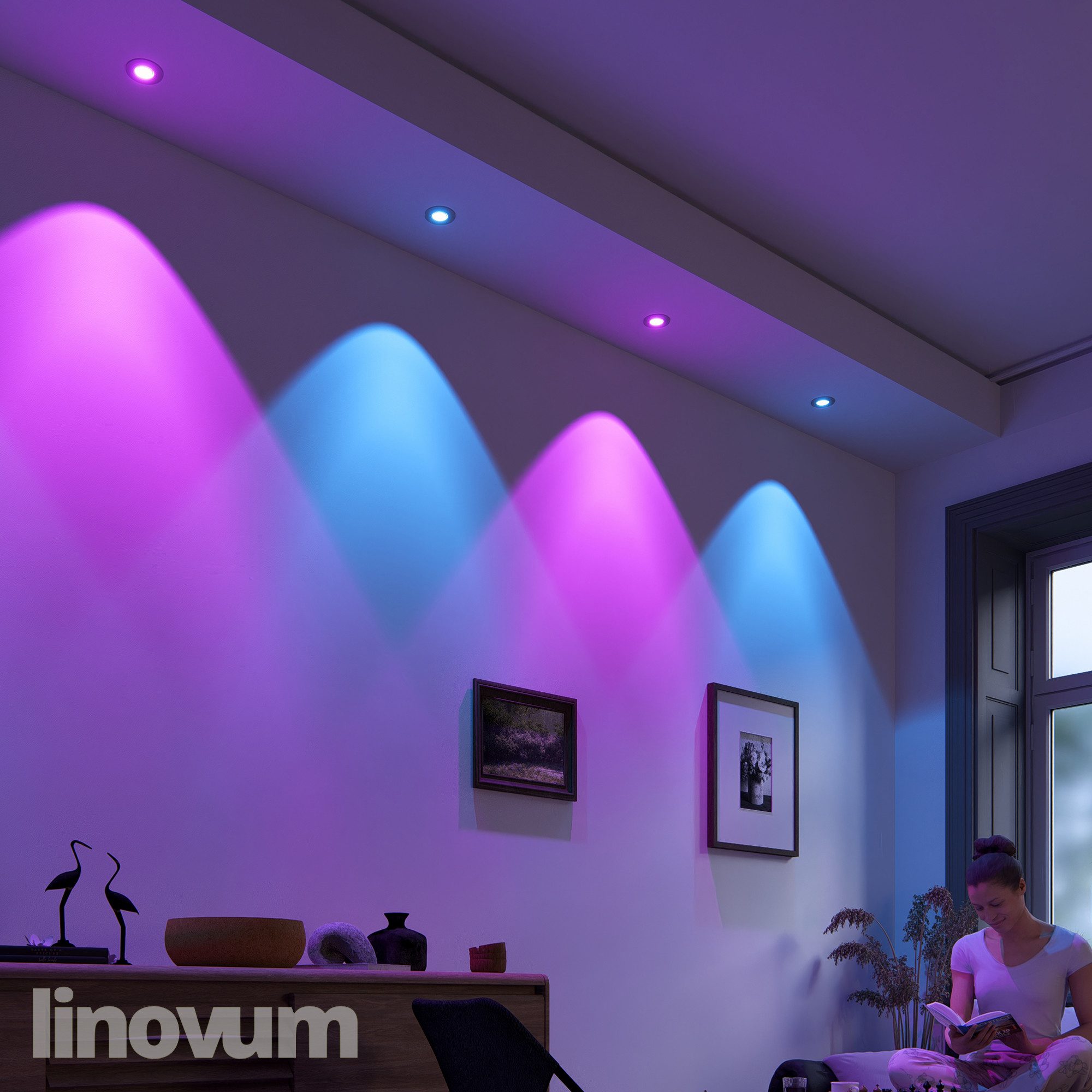 linovum Smarte LED-Leuchte LED Einbaustrahler Edelstahl günstig online kaufen