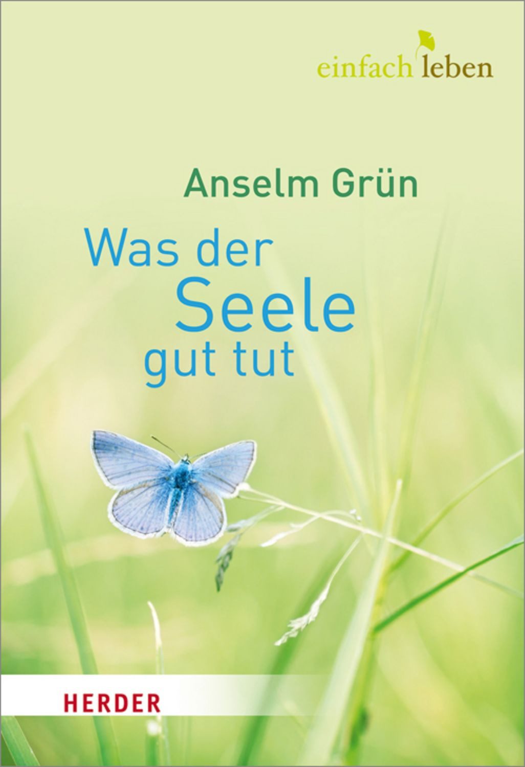 Was der Seele gut tut / Anselm Grün