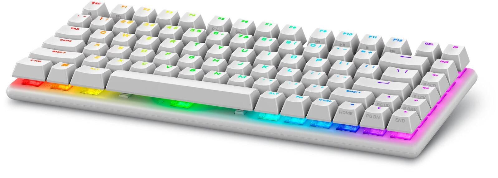 Dell Pro Wireless Gaming Keyboard Tastatur